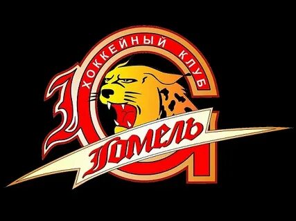 Хк гомель