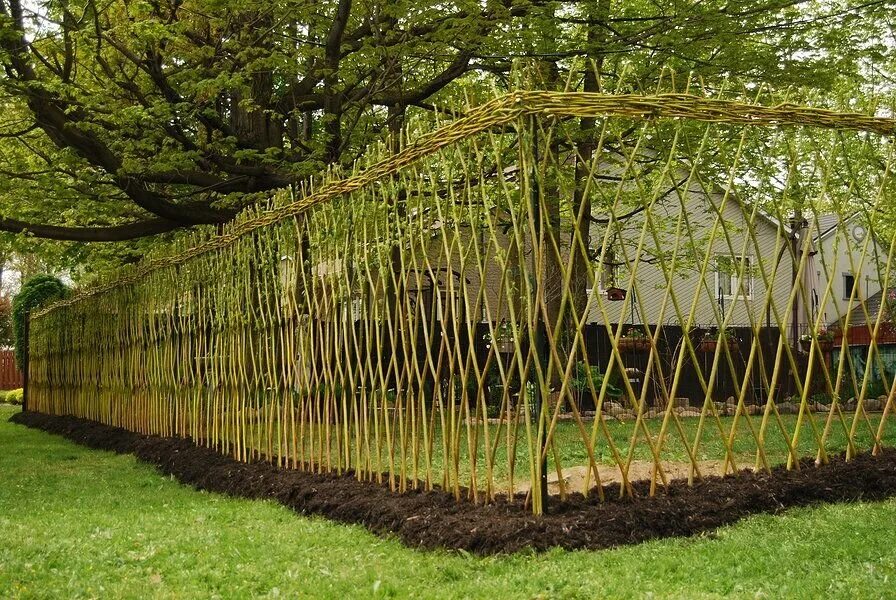 Немного фантазии, и у вас на даче невероятной красоты живой забор! Willow fence,