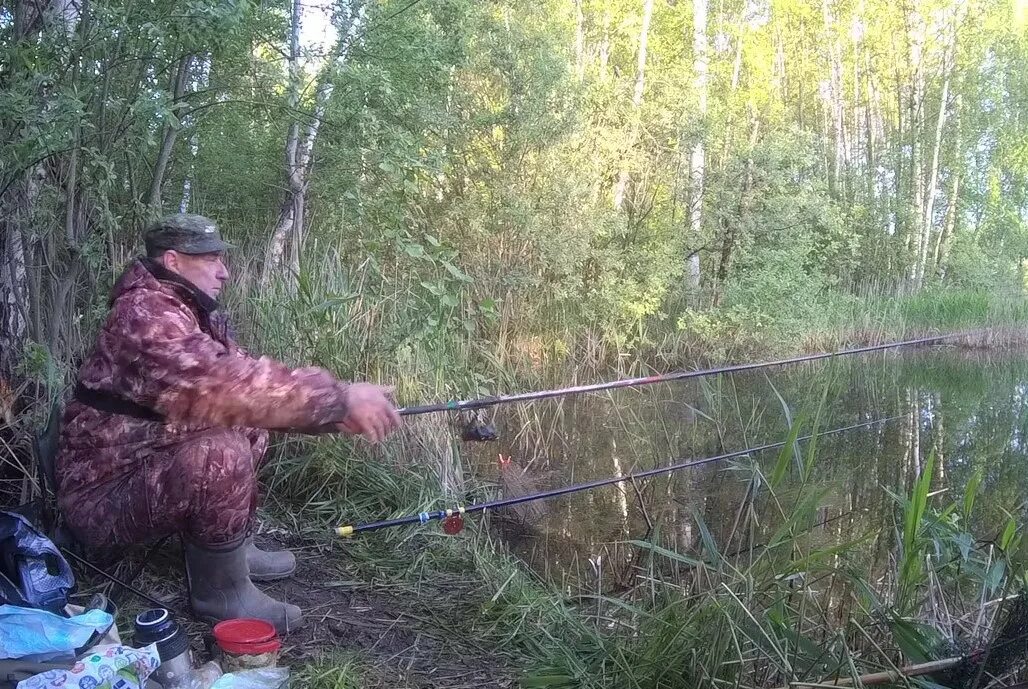 Ловлю роль. Случай на рыбалке. На что ловить карася весной.