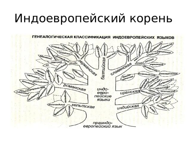 Славянская ветвь языков