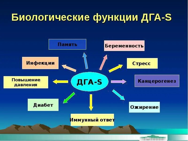 Дга s гормон у женщин. Дегидроэпиандростерон функции гормона. ДГА-S гормон. ДГА-S гормон повышен у женщин. Женские гормоны ДГА.