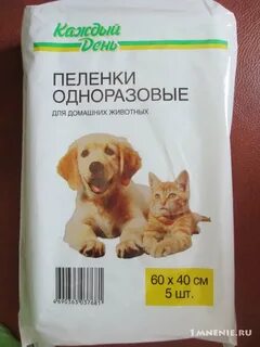 Животные каждый день