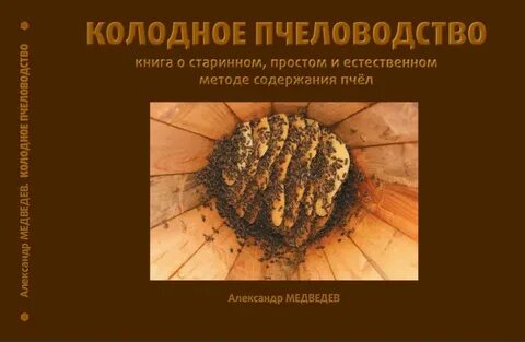 Пчелы методы содержания