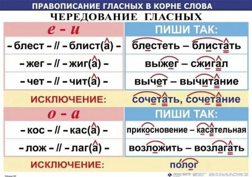 В каком слове нет корн. Чередование е и таблица. правописание гласныз викорне. чередование гласных а о е и таблица. чередование букв в корне.