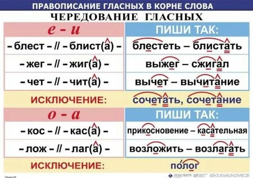 В каком слове нет корн. Чередование е и таблица. Правописание гласныз викорне. Чередование гласных а о е и таблица. Чередование букв в корне.