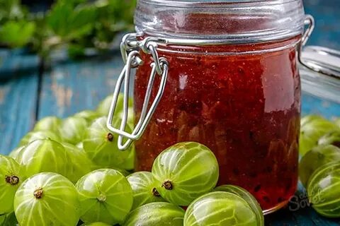 Что сделать на зиму из крыжовника рецепты