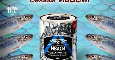 Чем отличается иваси от сельди