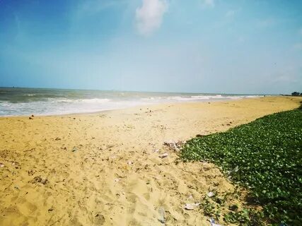 Beach day