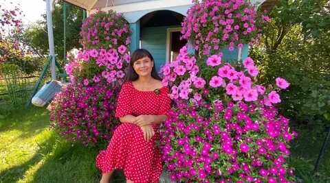 Зацветет патрина