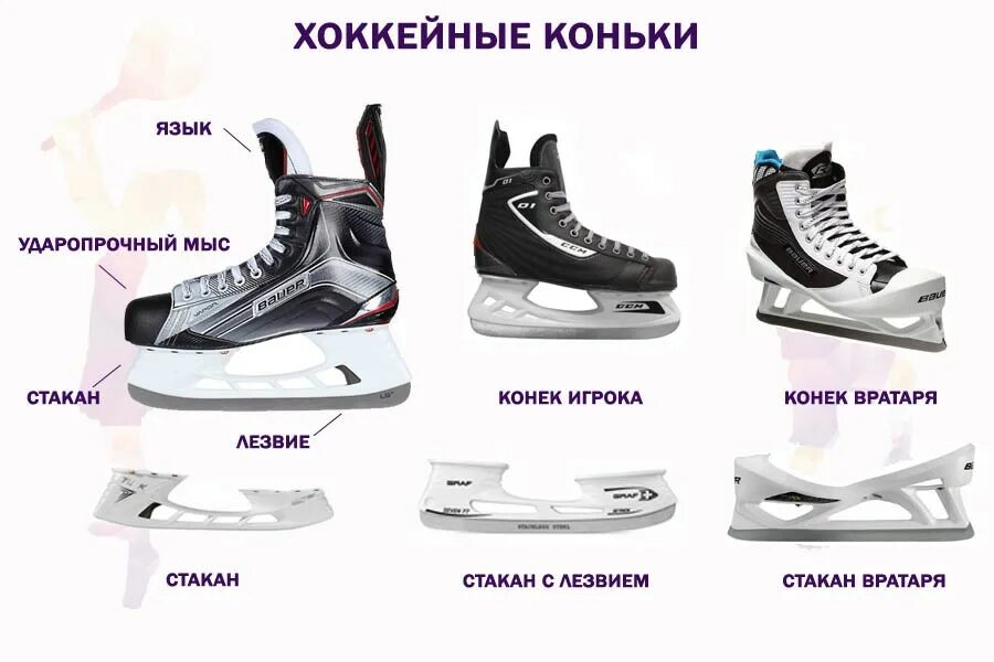 Чем отличается коньковый от конькового