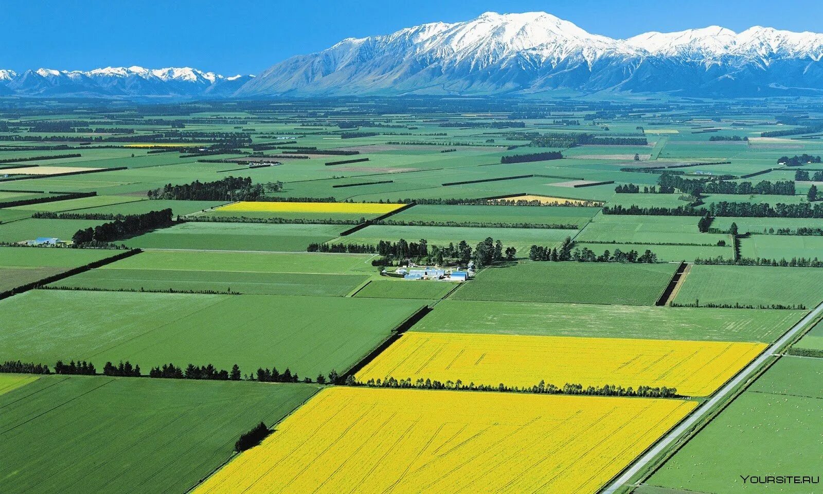 Промышленность новой зеландии. Сельскохозяйство в новой Зеландии. Новая Зеландия равнины. Новая Зеландия агрокультура. Новозеландия сельское хозяйство.