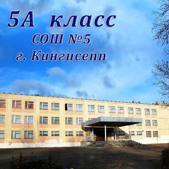 Сош 5 телефон