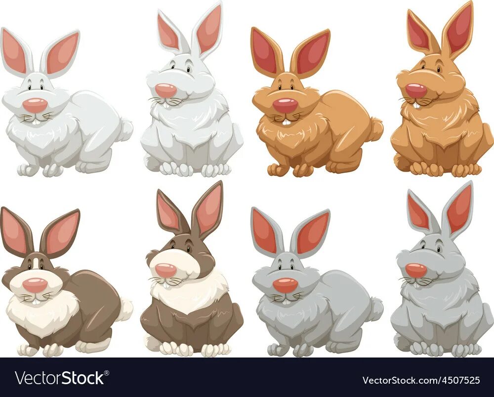 Rabbit set