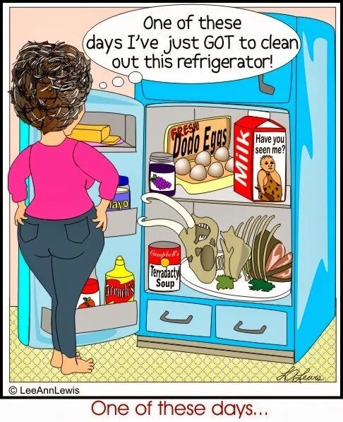 Do you have in the fridge. Clean out. картинка где суп в холодильнике. clean shiny fridge clipart. mc bandida cleaning fridge.