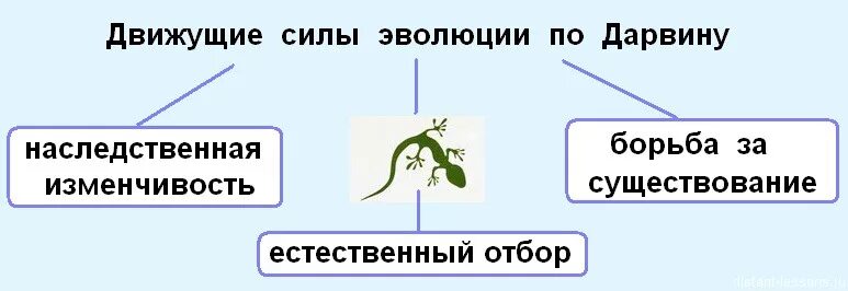 Движущая сила появления признака. Движущие силы эволюции по ч Дарвину. Движущие силы эволюции схема. Опишите основные движущие силы эволюции по ч Дарвину. Основная движущая сила эволюции по Дарвину.