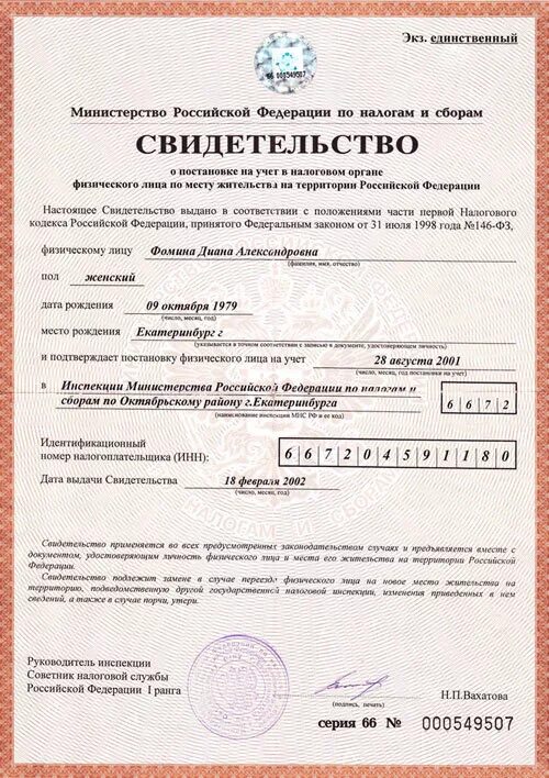 Как выглядит инн ребенка В каких случаях ИНН нужен и не нужен Портал ДНР