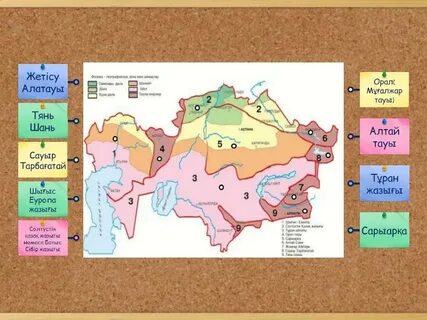 Ол камера алдында минет жасаудан ұялады.