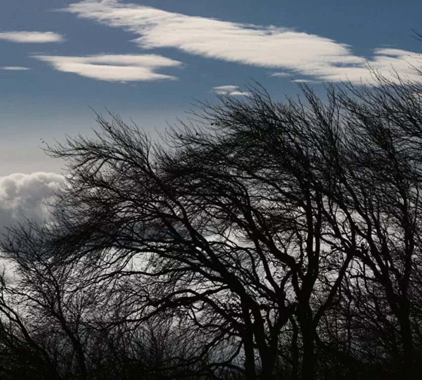 Ветер 19 м/с. Пассат ветер фото. С юго запада подул сильный ветер. Мчс предупреждает гроза дождь град. Как называется ветер дующий между тропиками круглый год.