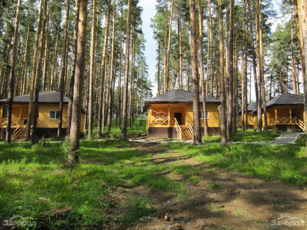 Спортивно-оздоровительный комплекс Озеро Лебяжье