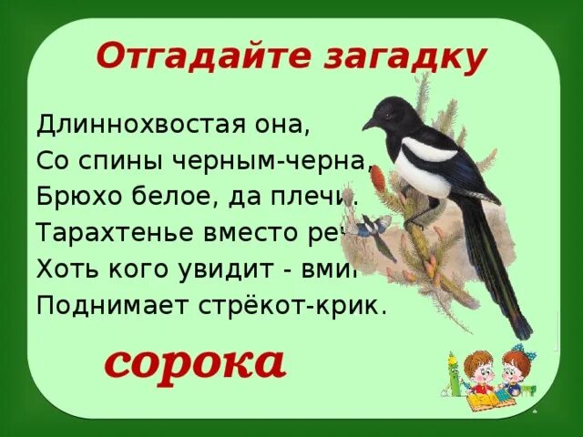 Какое чувство вызвала у тебя сорока выскочка. Загадка про сороку. Загадка про сороку для детей. Загадка про сороку для дошкольников. Сорока для детей.