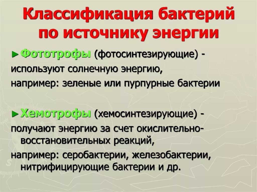 Указать типы питания бактерий