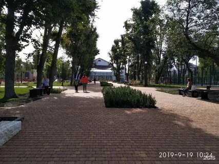 Индекс пашковка