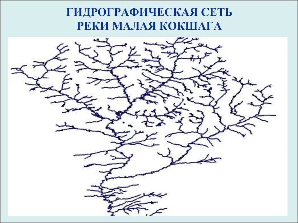 Сеть речка. Схема реки малая кокшага. гидрографическая сеть бассейна реки волга. гидрографическая схема реки дон. структура гидрографической сети реки.