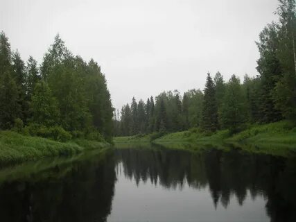 Пригородки кулой