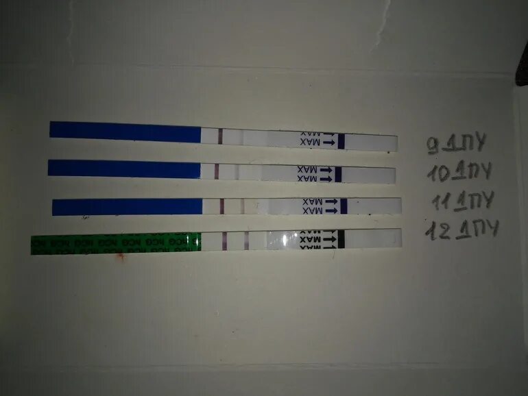 Неверный результат теста на беременность. Может ли тест на беременность ошибаться. Тест на беременность может ошибаться. Может ли тест ошибаться. Может ли тест на беременность ошибаться на ранних.