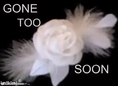 Go to soon