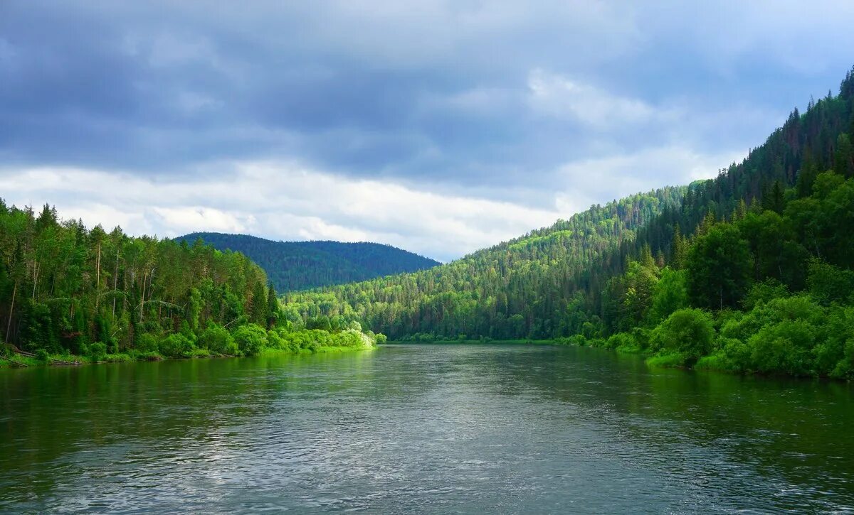 Речка в красноярске. Река Енисей Красноярский край лето. Красноярский край природа Енисей. Красноярский край Тайга Енисей. Тайга Красноярск Енисей.