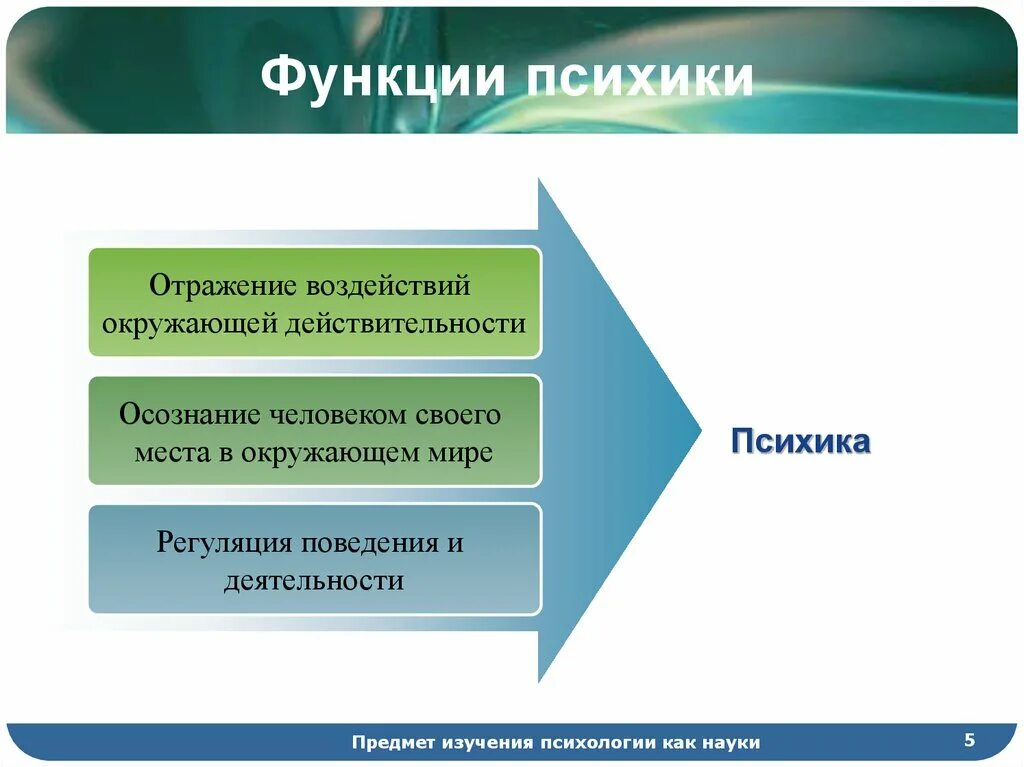 Функция психической организации. Главная функция психики. 3 Основные функции психики. Основные функции психики человека. Базовые функции психики.