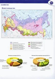 Сельское хозяйство животноводство 9 класс география