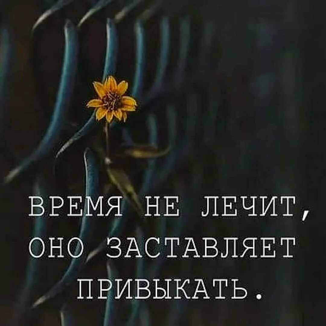 Кто сказал время лечит от боли. Время не лечит а заставляет привыкать. Время не лечит оно. Время не лечит фото. Время лечит.