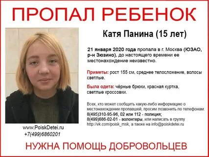 Пропажа роки авилдсена