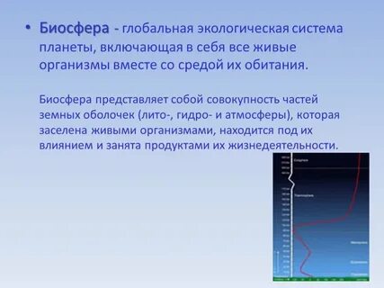 Биосфера экосистема которая