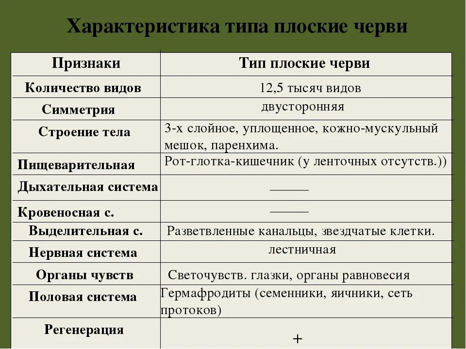 Группа черви признаки группы. Основные характеристики плоских червей. Биология 7 класс общая характеристика червей Тип плоские черви. Общая характеристика Тип плоские черви 7 класс биология. Основная характеристика плоских червей.