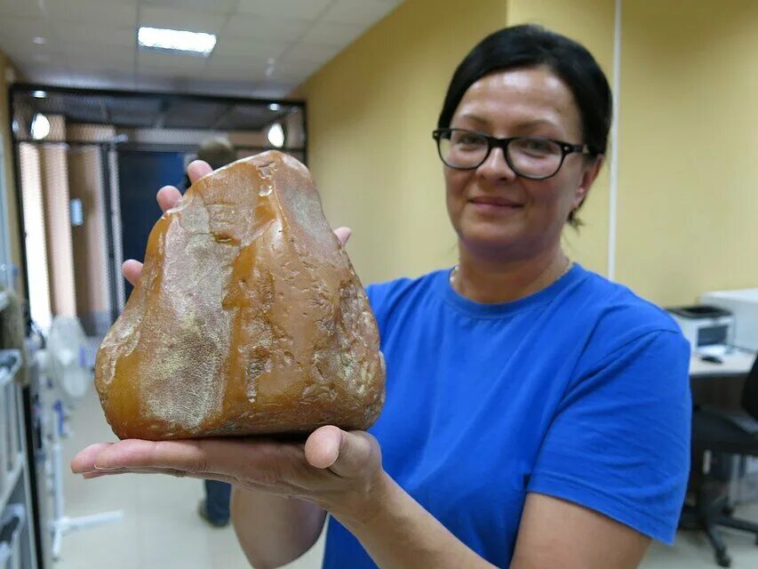 Камень том 1. Самый большой самородок янтаря. Самый большой камень янтаря. Калининград музей янтаря самый крупный самородок. Самый крупный янтарь в Калининграде.