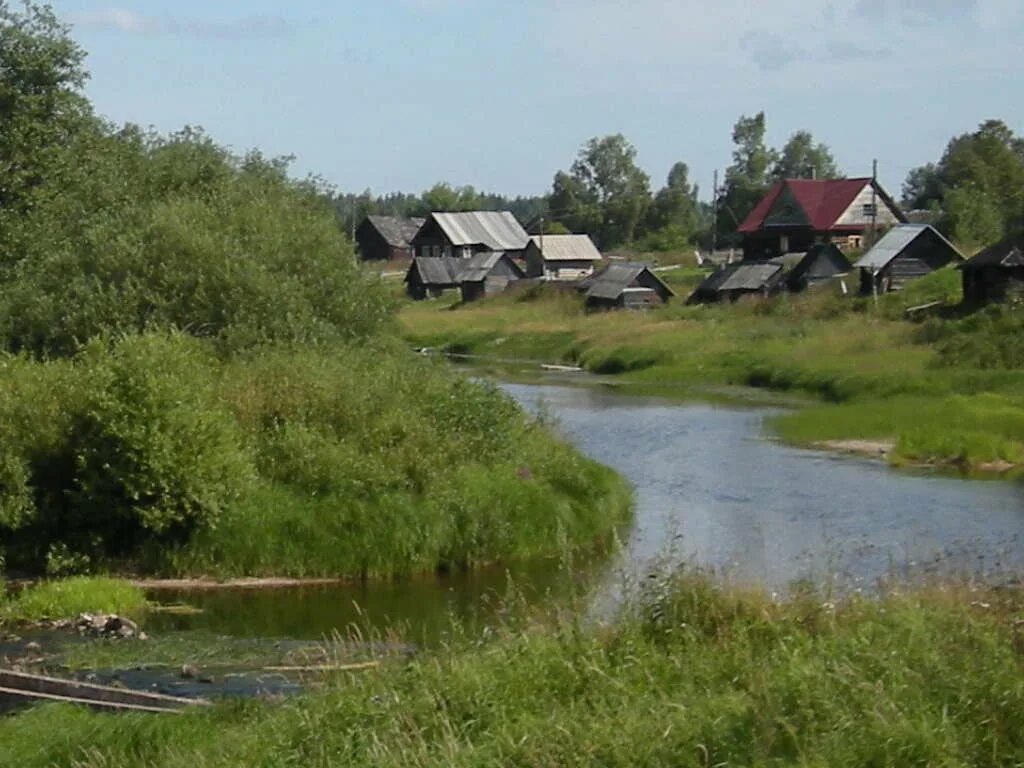 васильки у реки. деревня васильки. стан лихославльский район храм. деревня васильки. васильки псковской пустошкинского.