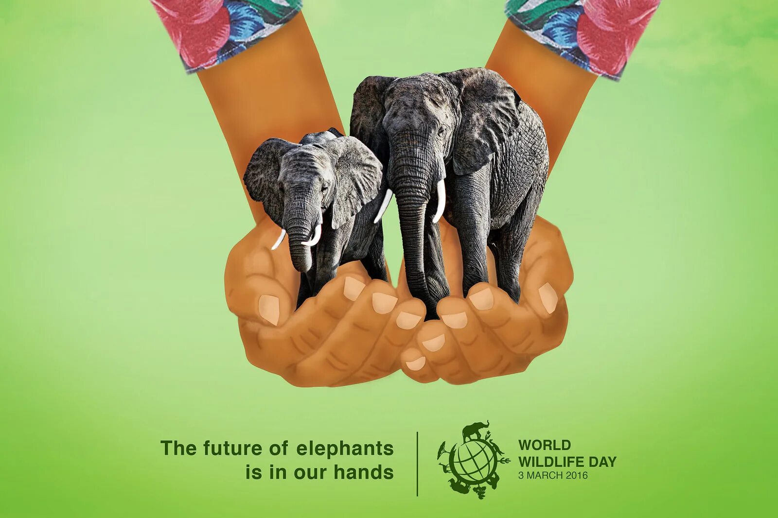 Всемирный день дикой природы. Международный день защиты животных. Всемирный день диких животных. Открытка Всемирный день дикой природы. Сценарий всемирный день дикой природы