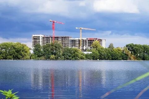 Старая купава