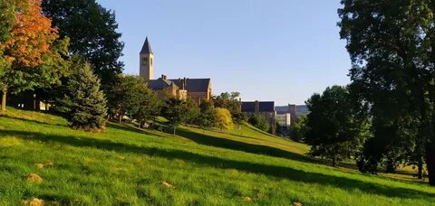 Cornell university