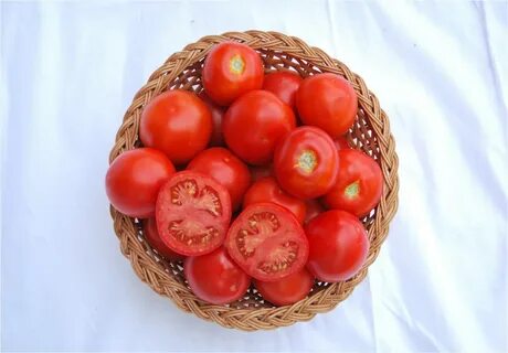 Новинки томатов