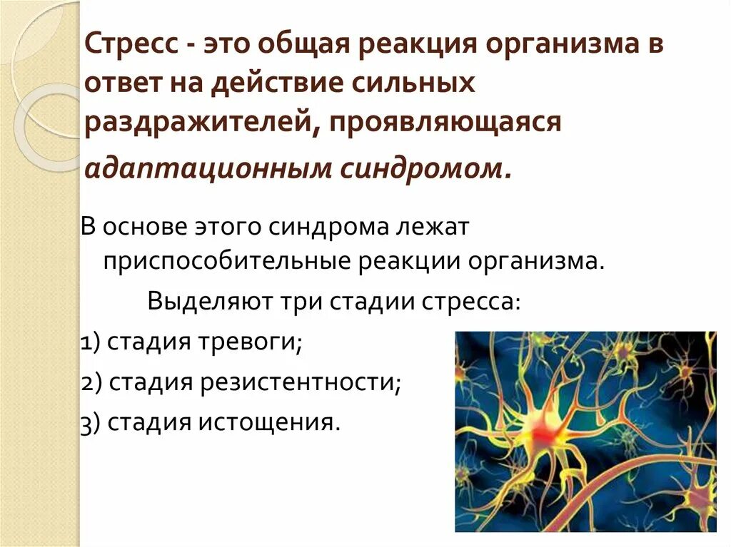 Стресс общая реакция организма в ответ. Ответная реакция организма на стресс. Общие реакции организма. Реакция организма на действие чрезвычайных раздражителей. Ответная реакция организма на воздействие среды