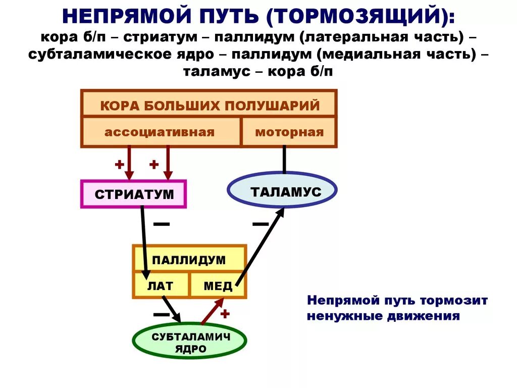 Прямой и непрямой путь. Непрямой путь. косвенный путь.