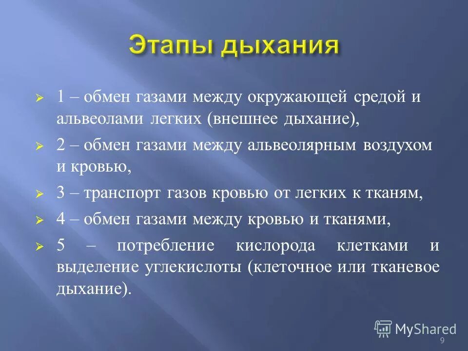 эмоциональное равновесие. влияние загрязнения воздуха на человека. эмоциональное спокойствие. схема питание и дыхание растений окружающий мир 3 класс. грязный воздух.