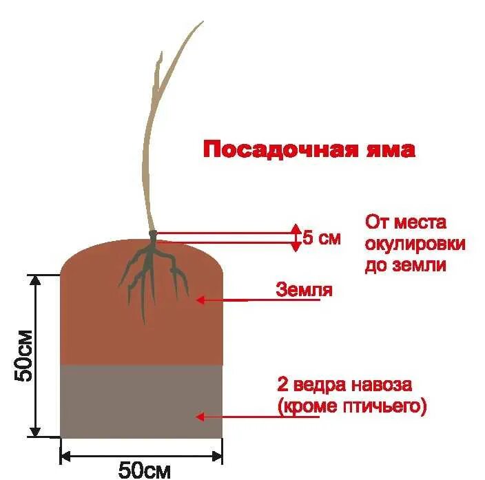 Длина посадочного места