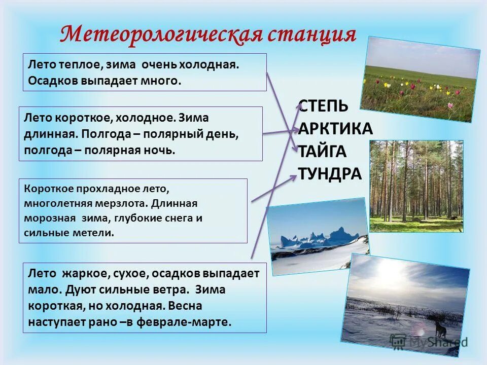 Прохладное лето в россии. Природные зоны теплое лето холодная зима. Лето короткое и Холодное природная зона. Холодная зима и прохладное лето природная зона. Холодные природные условия.