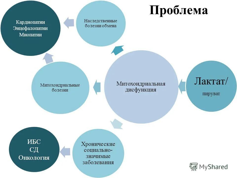 митохондриальная дисфункция у детей. митохондриальные болезни. митохондриальная дисфункция симптомы. нарушение функции митохондрий. митохондриальные наследственные болезни.