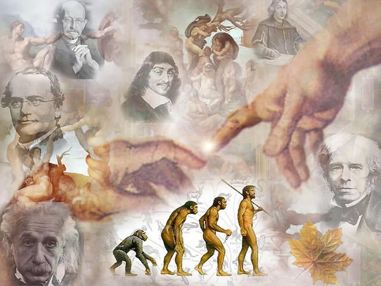 Культура эволюции человека. История развития человечества. Цивилизация человечества. Эволюционно-историческая. Человек философия.